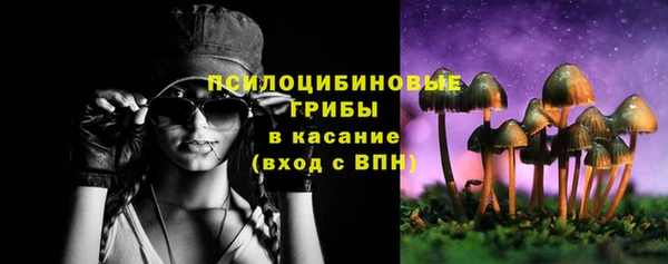 амф Белокуриха