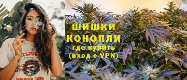 ПСИЛОЦИБИНОВЫЕ ГРИБЫ Беломорск